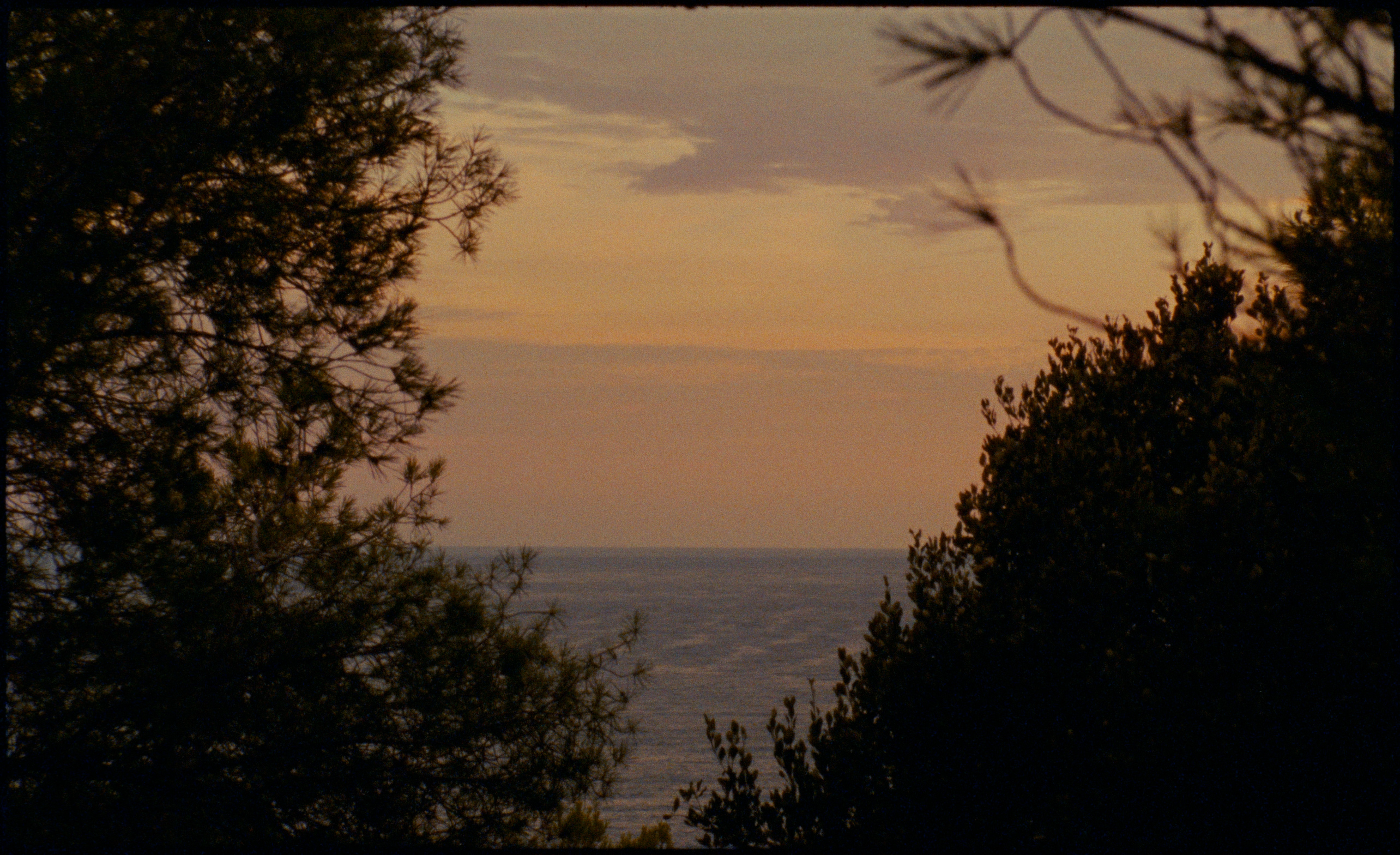 Malinowy Ogród still